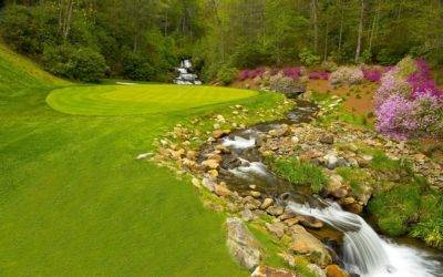 Pro Tips from the Fairway: Mark Calcavecchia’s Guide to Better Golf