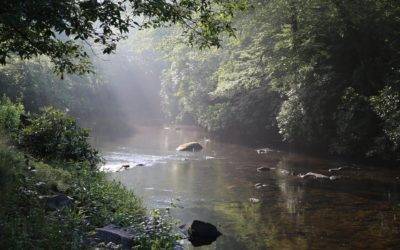 Fly Fishing Fundamentals: Getting Started on Burlingame’s Mountain Streams