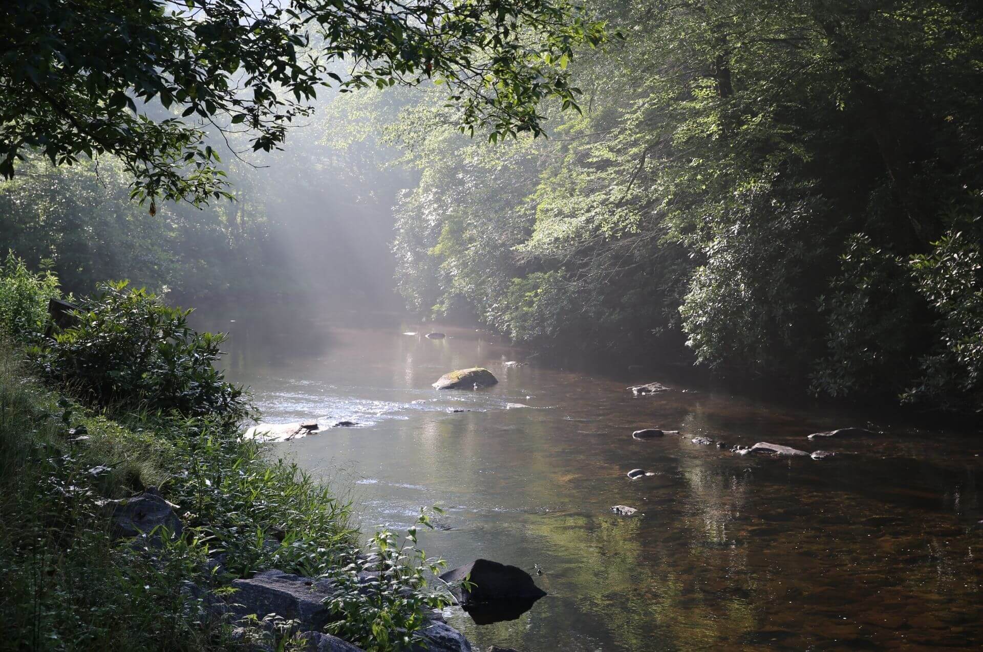 Burlingame Trout Fishing