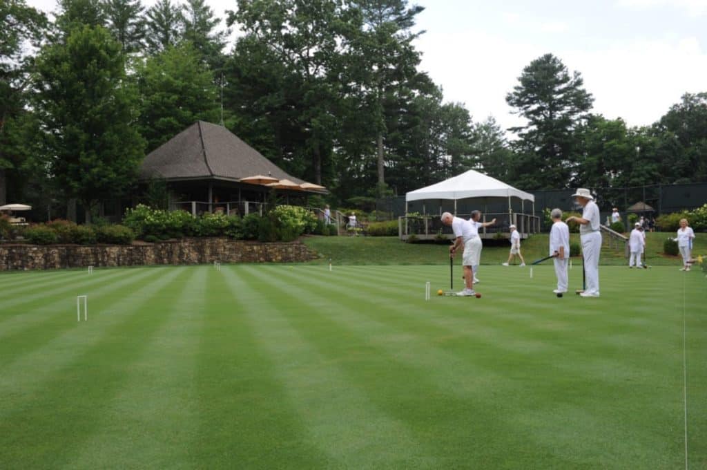 Burlingame Sapphire NC Properties: Types, Features & Neighborhoods