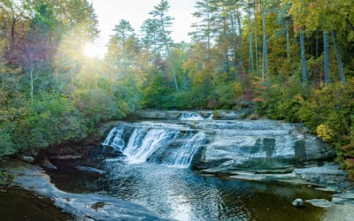 Hiking the Highlands: A Guide to Burlingame’s Most Scenic Trails and Hidden Waterfalls