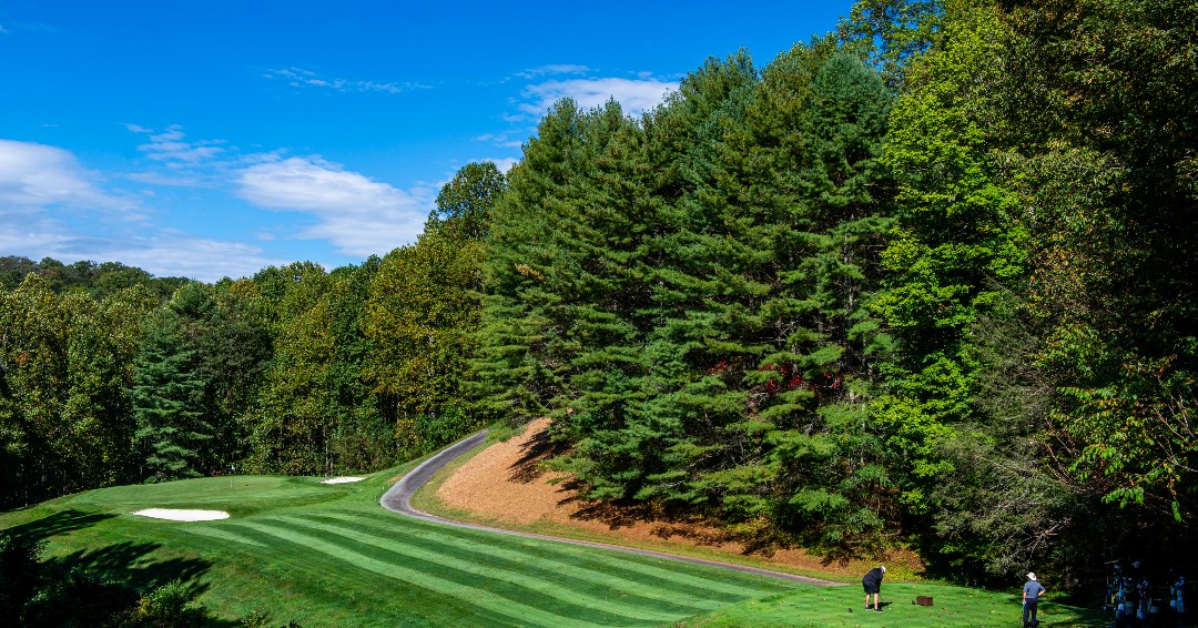 Reading Mountain Greens - Burlingame