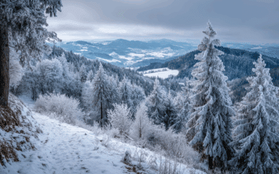 Winter Hiking in Western North Carolina: Cold-Weather Trail Safety